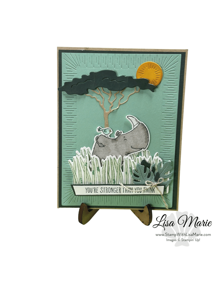 Rhino Ready & Radiating Stitches