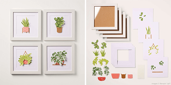 Happy Houseplants
